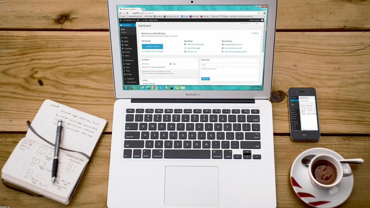 Consultant WordPress